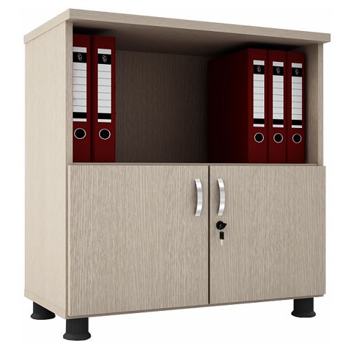 tủ tài liệu thấp